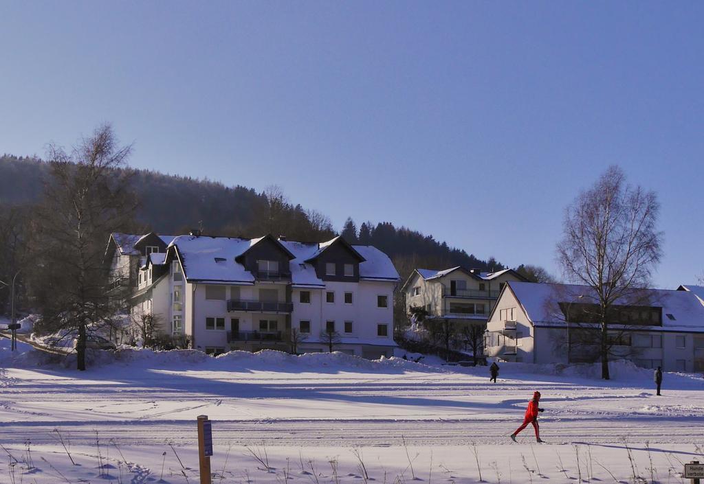 Komfort-Fewo Am Stryckteich Apartman Willingen  Kültér fotó